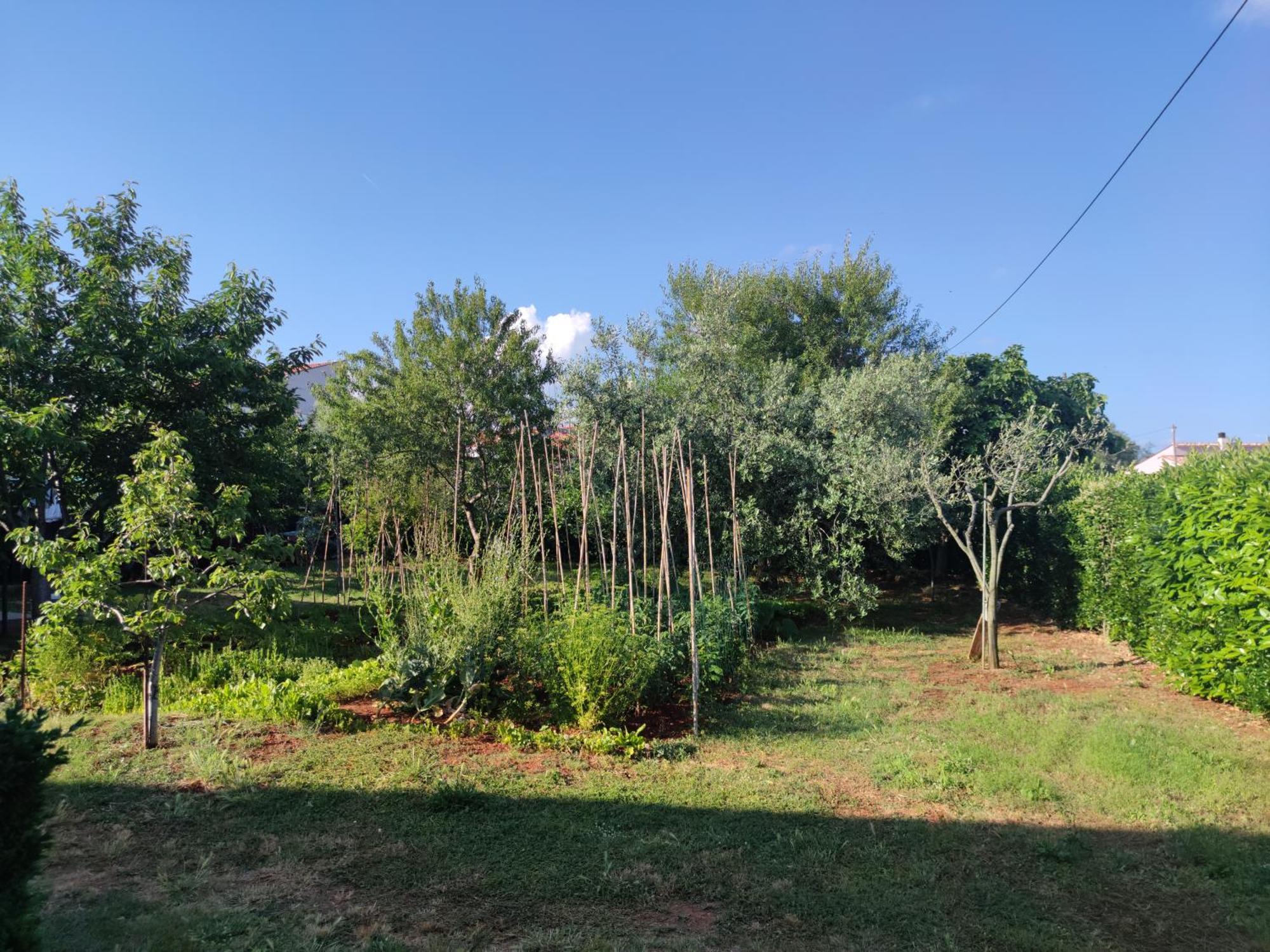 Spacious Apartment With Parking&Garden Marčana Cameră foto